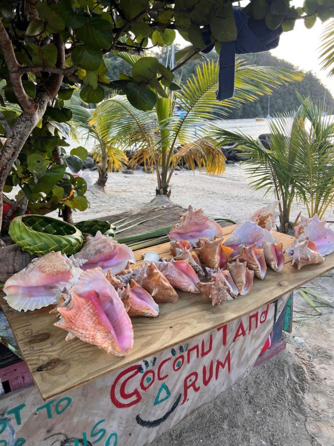 Casa Del Vega A Little Peace Of Heaven Hotel Castries Buitenkant foto