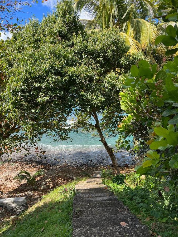 Casa Del Vega A Little Peace Of Heaven Hotel Castries Buitenkant foto