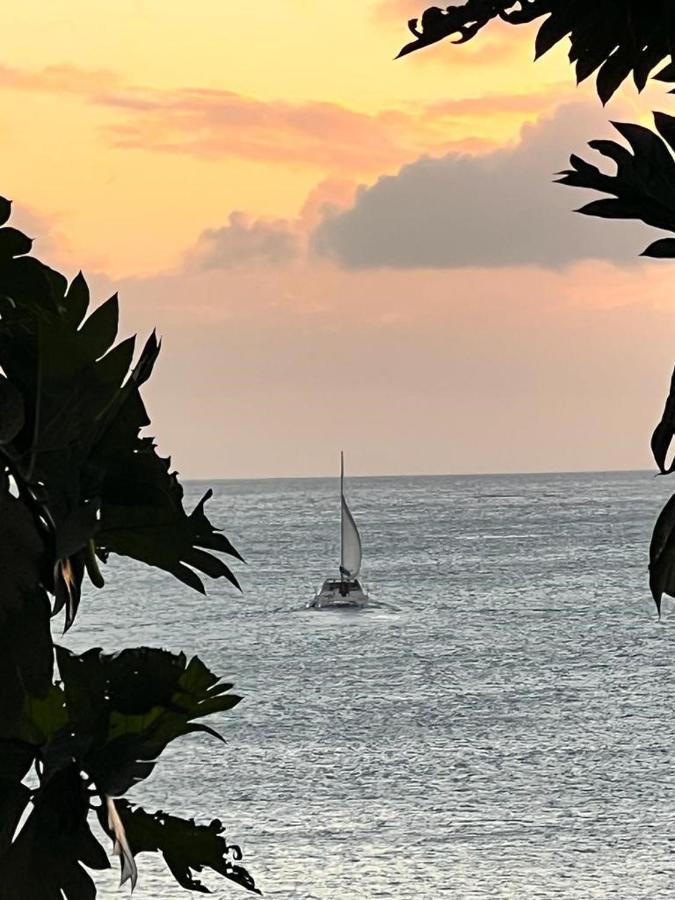 Casa Del Vega A Little Peace Of Heaven Hotel Castries Buitenkant foto