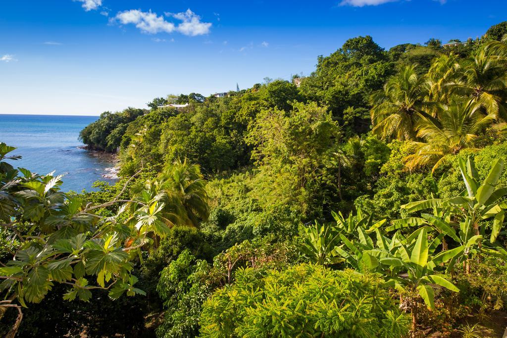 Casa Del Vega A Little Peace Of Heaven Hotel Castries Buitenkant foto