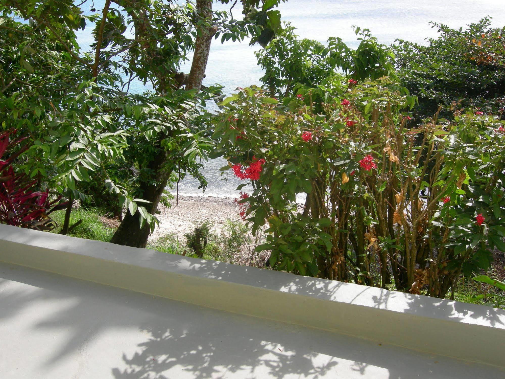 Casa Del Vega A Little Peace Of Heaven Hotel Castries Buitenkant foto
