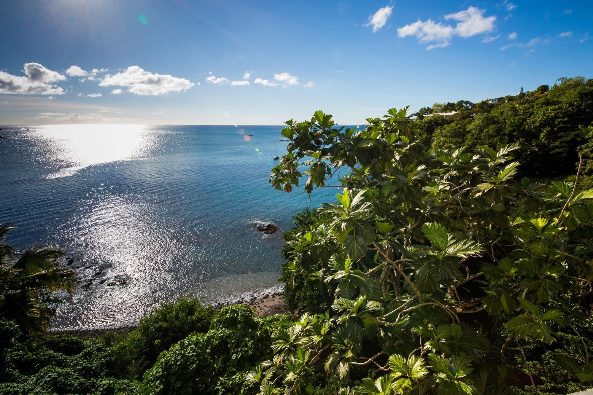 Casa Del Vega A Little Peace Of Heaven Hotel Castries Buitenkant foto